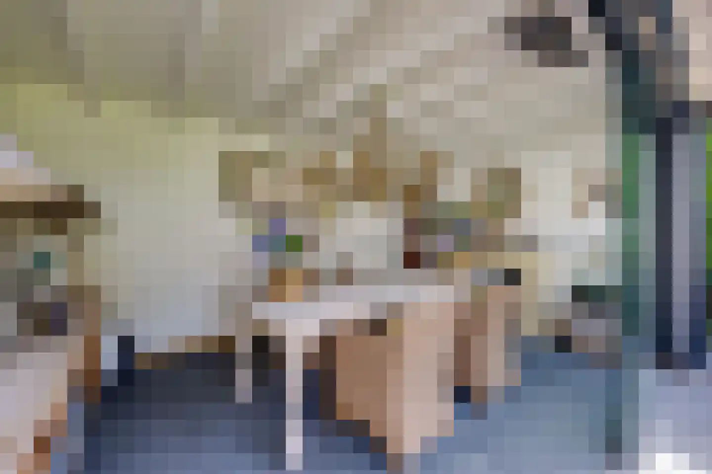 Nederven 8 Zundert thumbnail 55