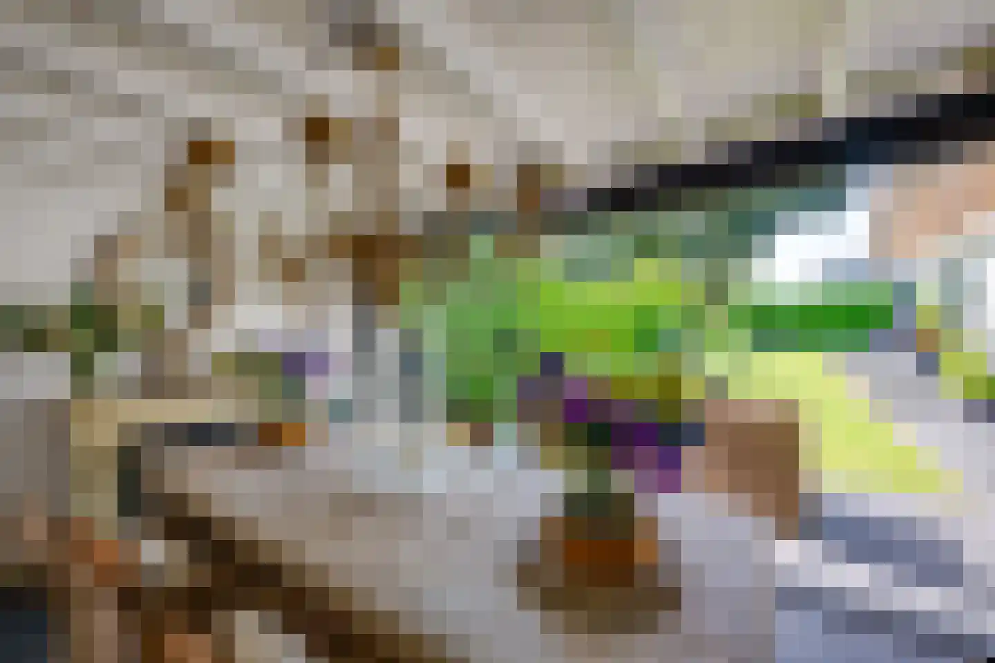 Nederven 8 Zundert thumbnail 56