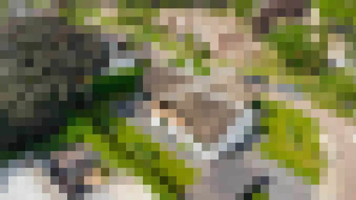 Nederven 8 Zundert thumbnail 6