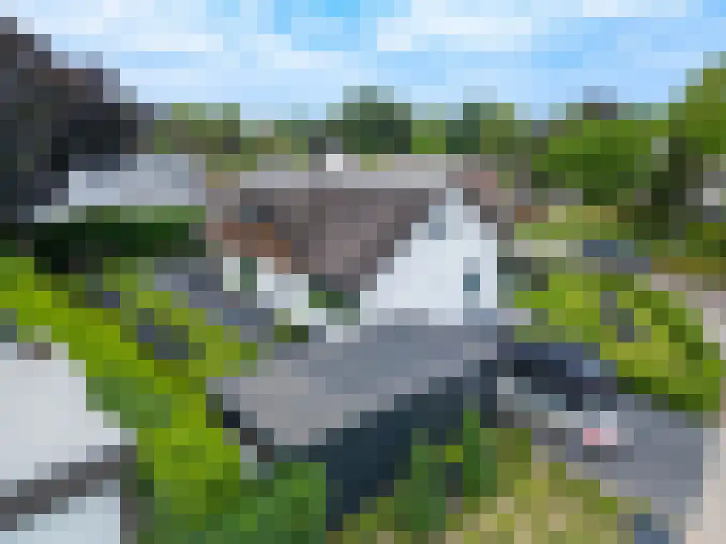 Nederven 8 Zundert thumbnail 6