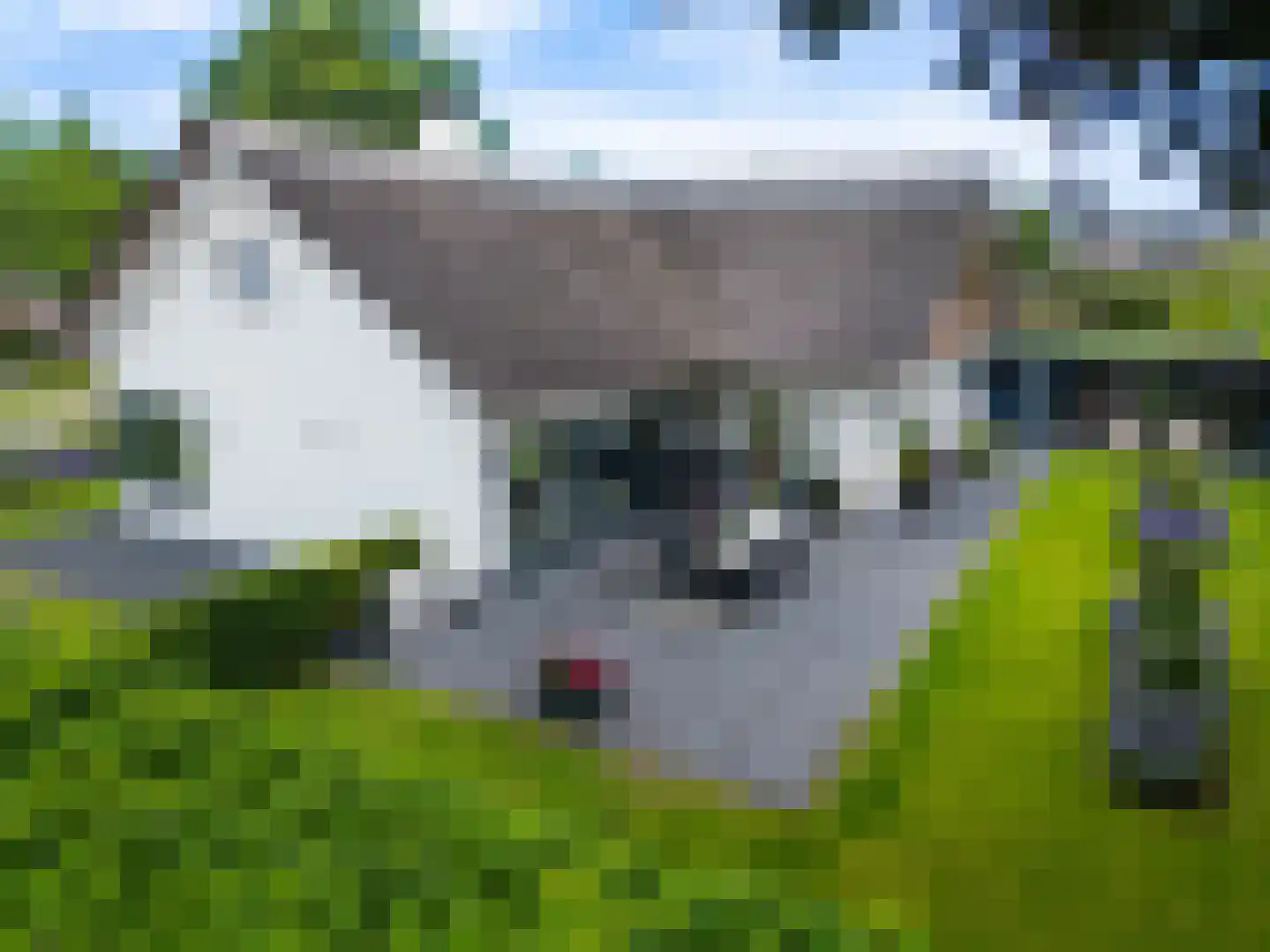 Nederven 8 Zundert thumbnail 63