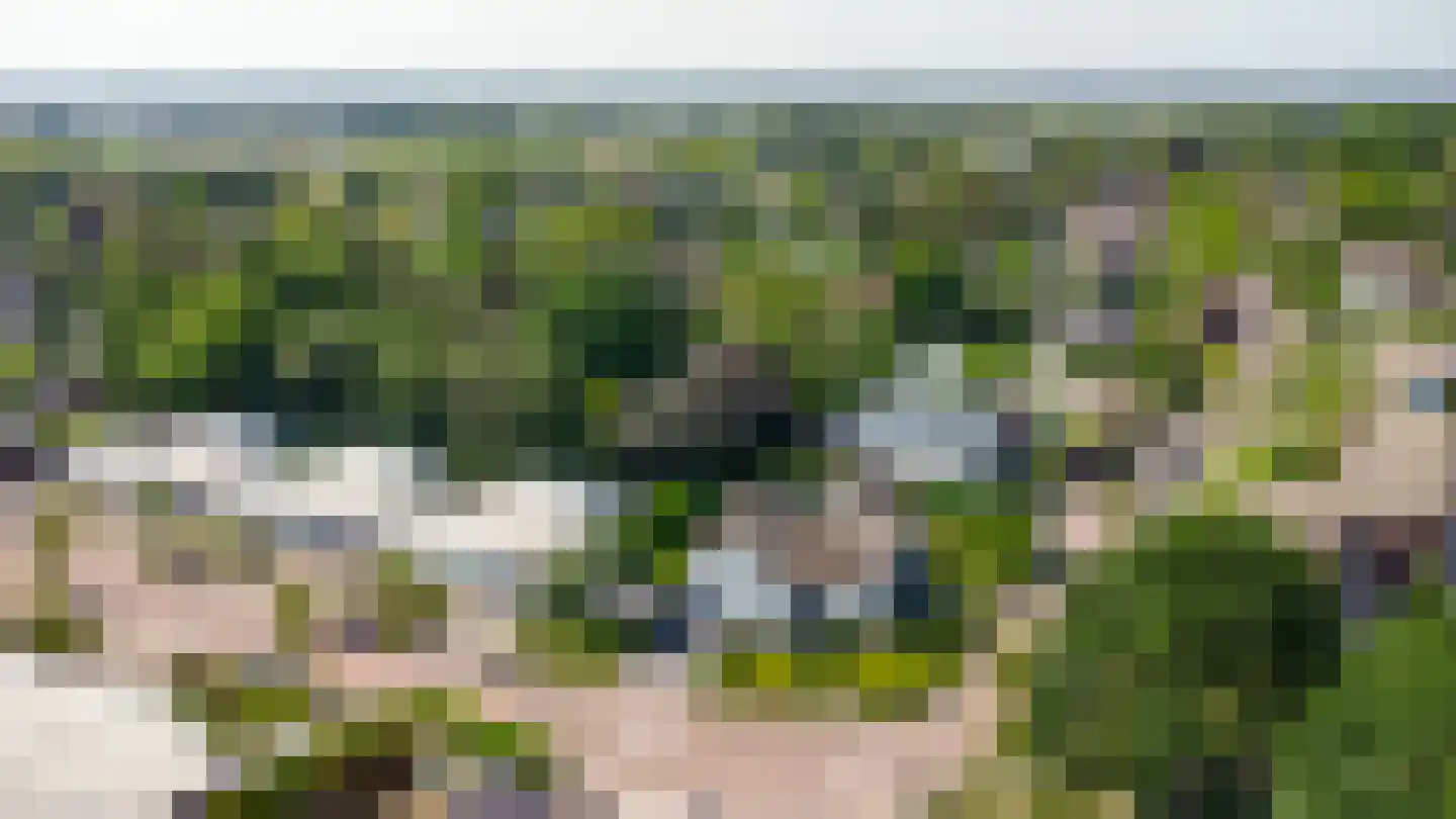 Nederven 8 Zundert thumbnail 63