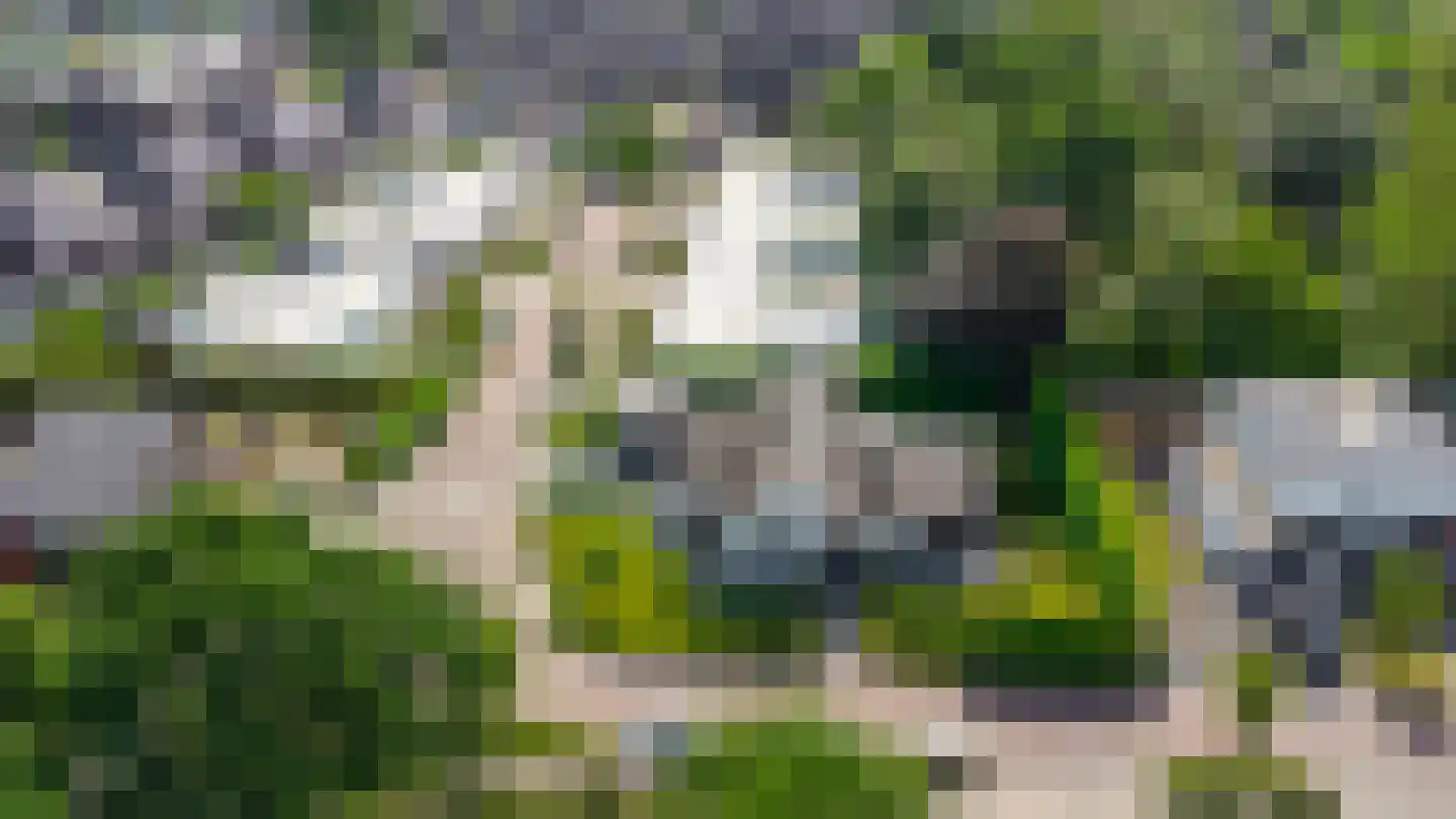 Nederven 8 Zundert thumbnail 64