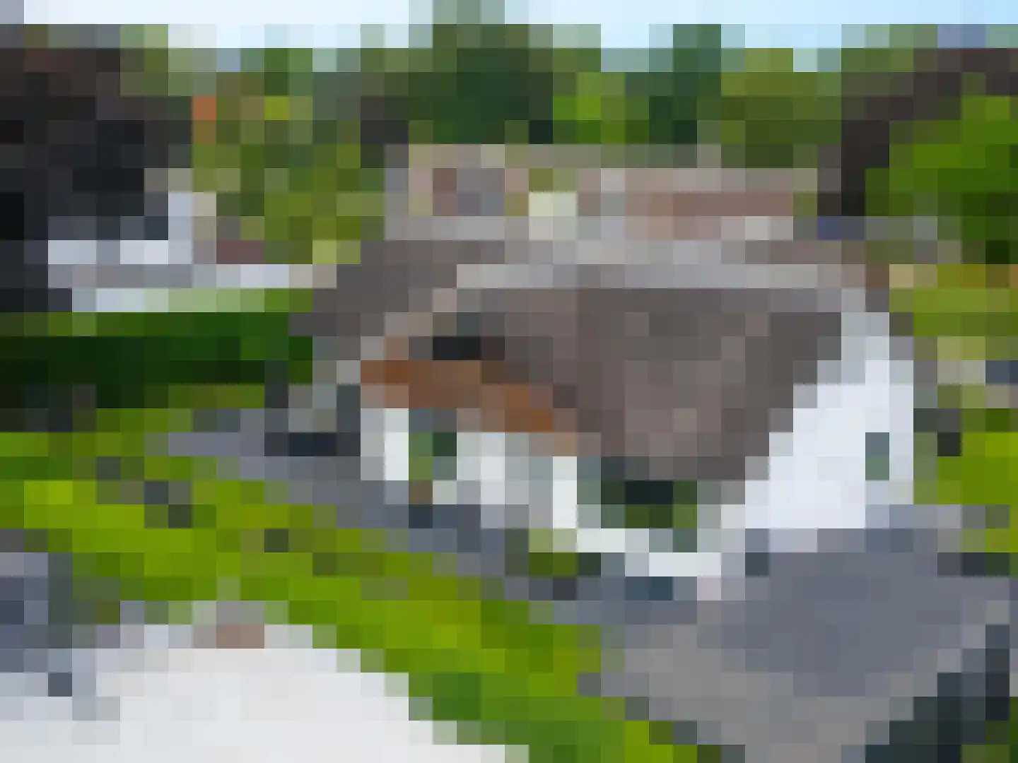 Nederven 8 Zundert thumbnail 65