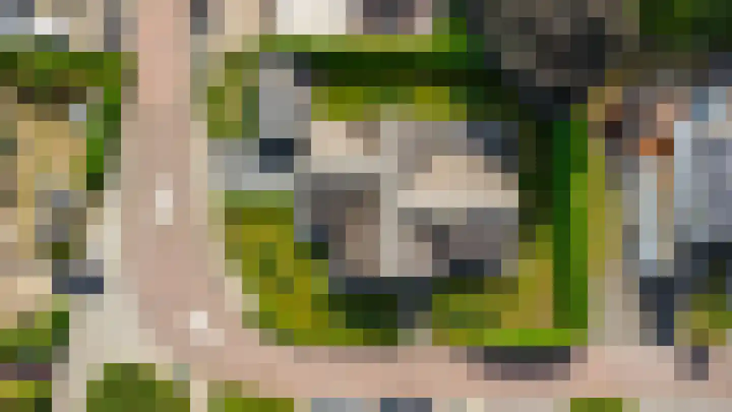 Nederven 8 Zundert thumbnail 66