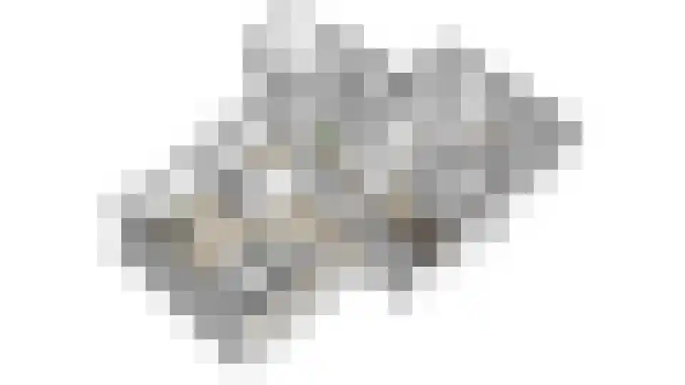 Nederven 8 Zundert thumbnail 67