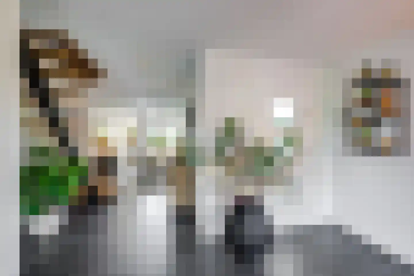 Nederven 8 Zundert thumbnail 9