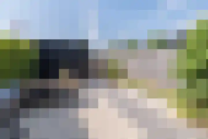 Nederwoudse Brink 35 Barneveld thumbnail 33