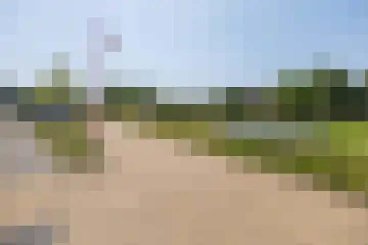 Nederwoudse Brink 35 Barneveld thumbnail 41