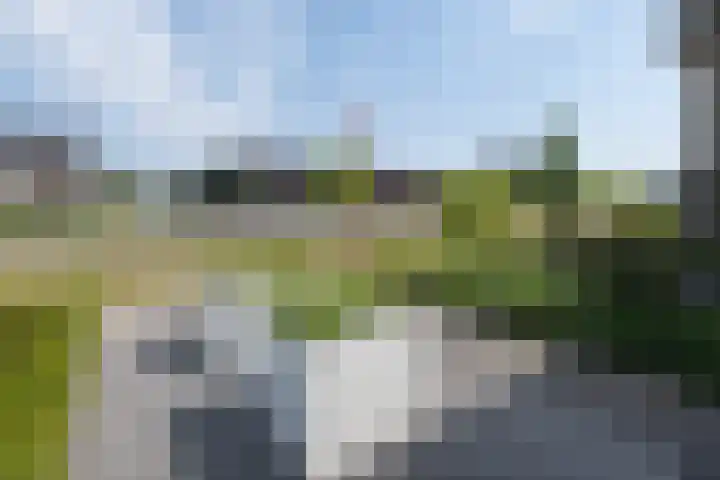 Nederwoudse Brink 35 Barneveld thumbnail 42