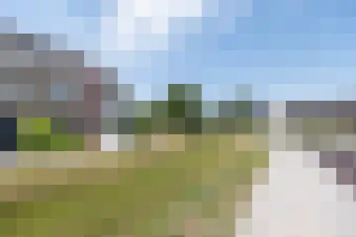 Nederwoudse Brink 35 Barneveld thumbnail 45