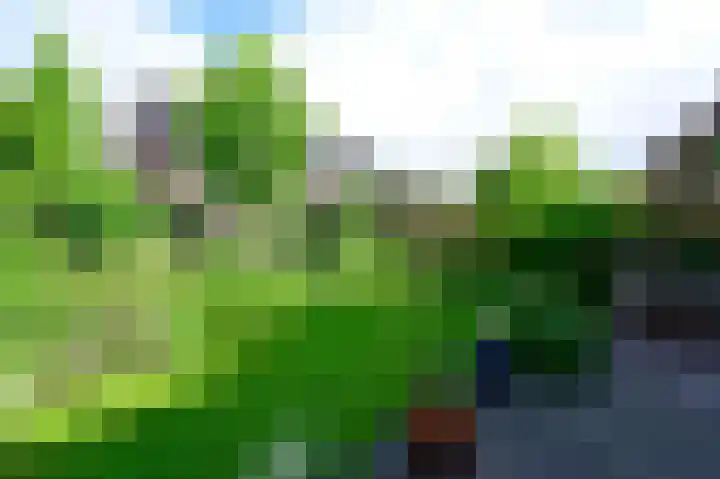 Nederwoudseweg 31 Barneveld thumbnail 27