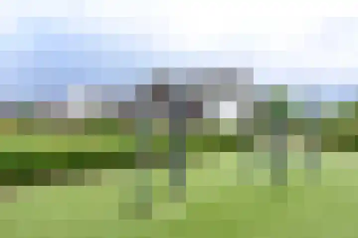 Nederwoudseweg 31 Barneveld thumbnail 32