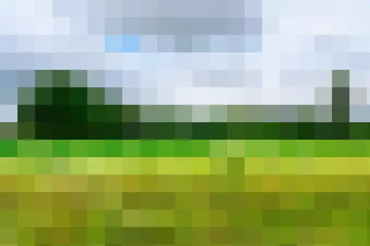 Nederwoudseweg 31 Barneveld thumbnail 33
