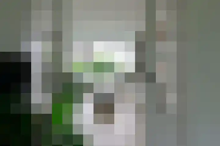 Nederwoudseweg 31 Barneveld thumbnail 4