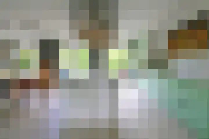 Nederwoudseweg 31 Barneveld thumbnail 9