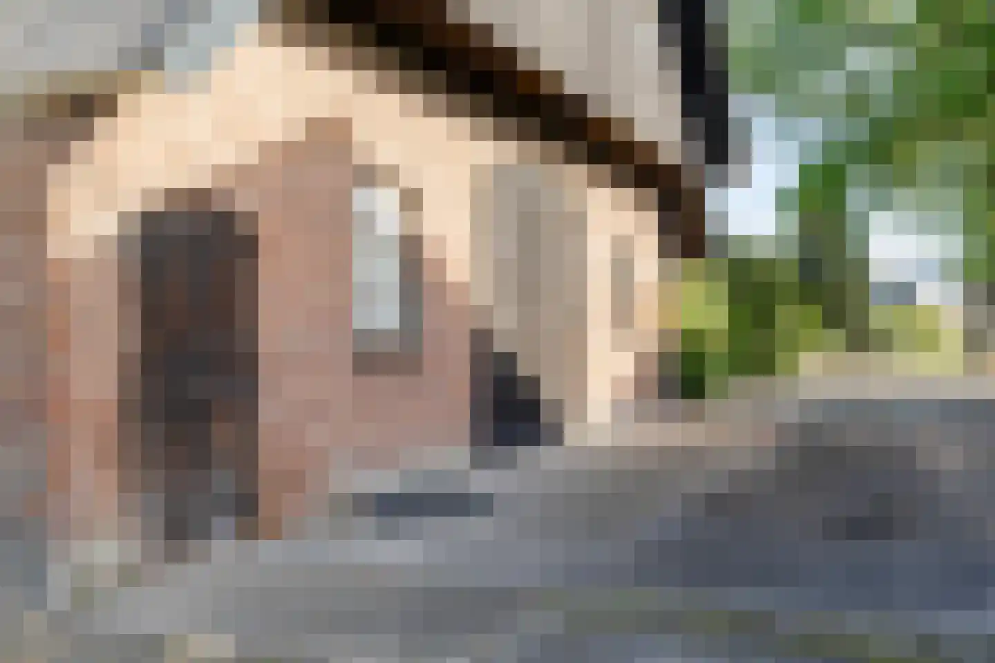Nederwoudseweg 70 Barneveld thumbnail 49