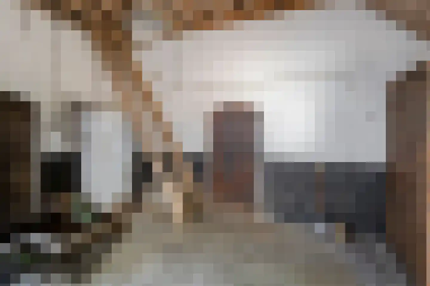 Nederwoudseweg 70 Barneveld thumbnail 52