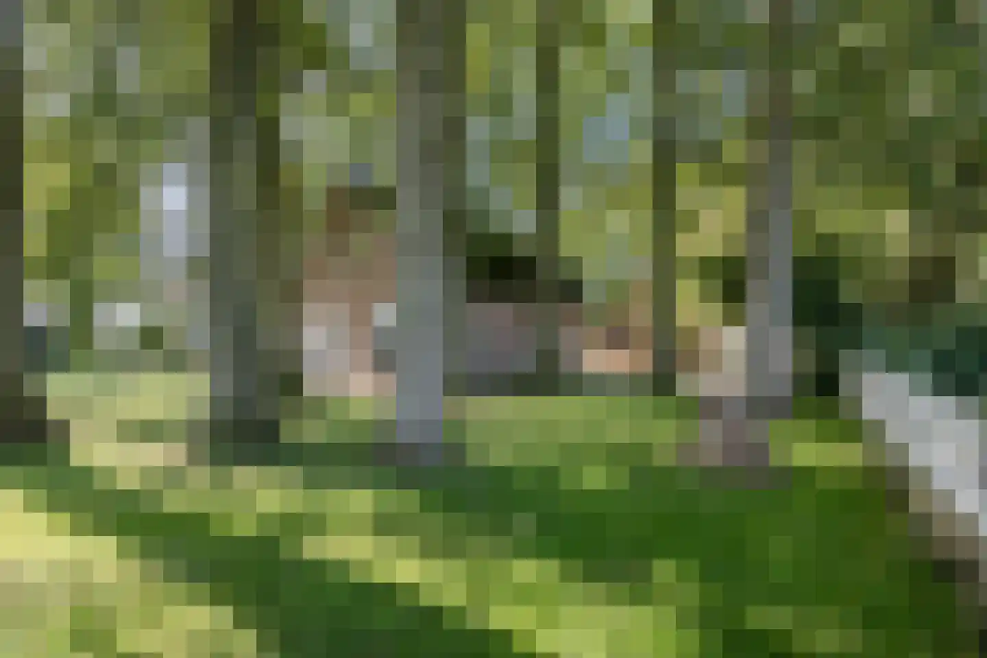Nederwoudseweg 70 Barneveld thumbnail 76