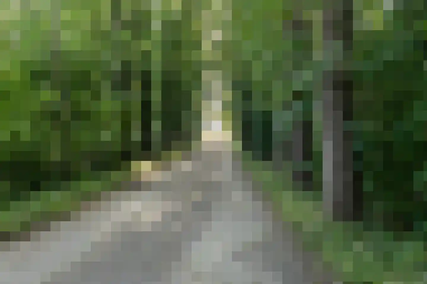 Nederwoudseweg 70 Barneveld thumbnail 79
