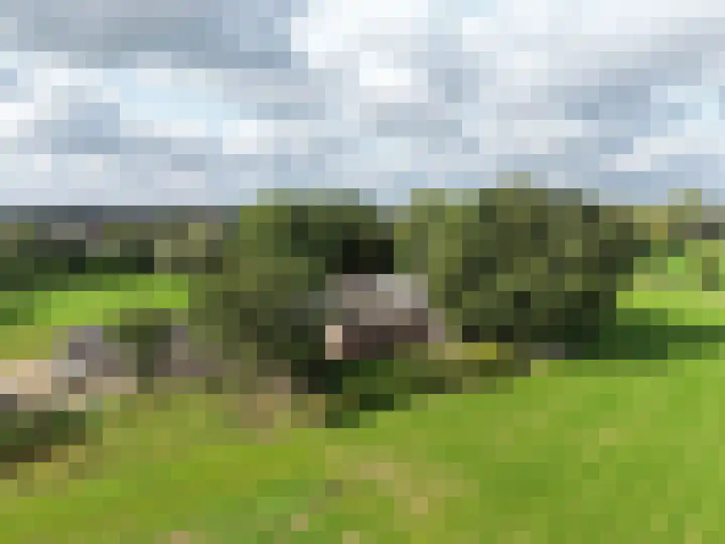 Nederwoudseweg 70 Barneveld thumbnail 80