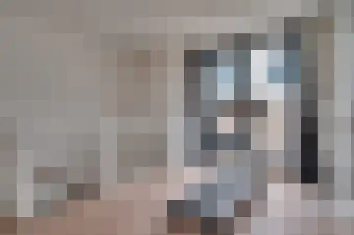 Nedinscoplein 21 Venlo thumbnail 30