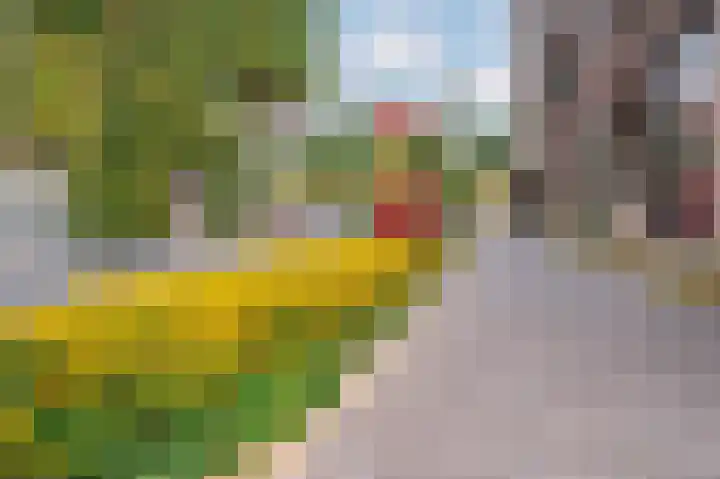 Nedinscoplein 21 Venlo thumbnail 44