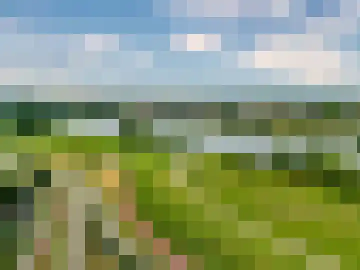 Nedinscoplein 21 Venlo thumbnail 53