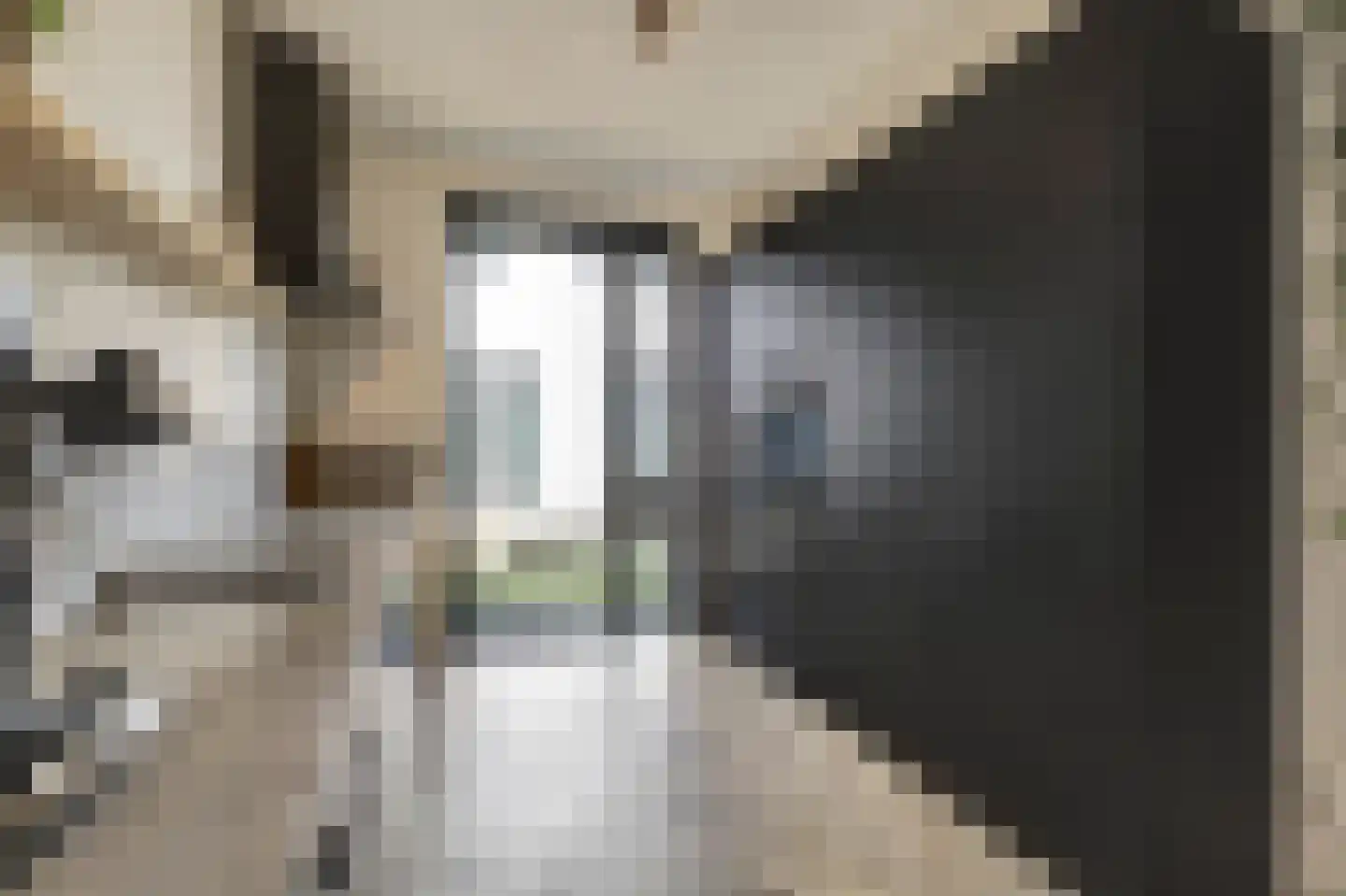 Nedinscoplein 23 Venlo thumbnail 12