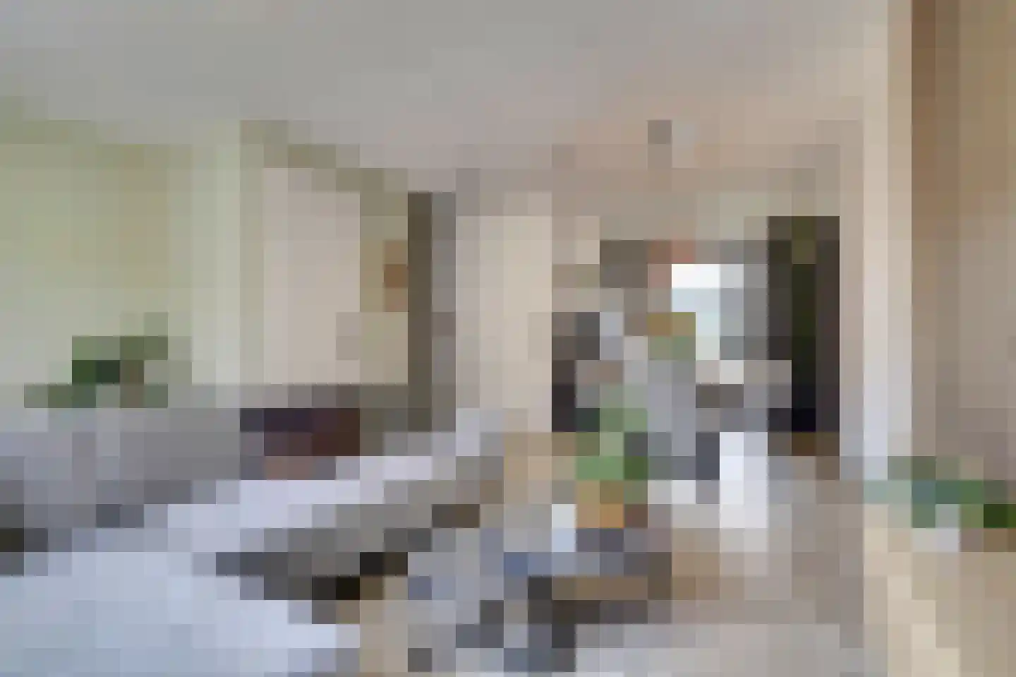 Nedinscoplein 23 Venlo thumbnail 7