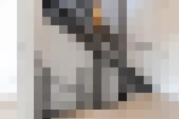 Nedinscoplein 27 Venlo thumbnail 22