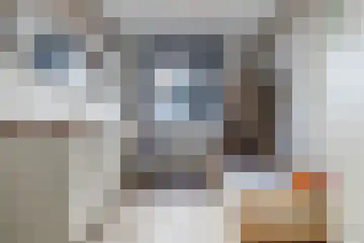 Nedinscoplein 27 Venlo thumbnail 28