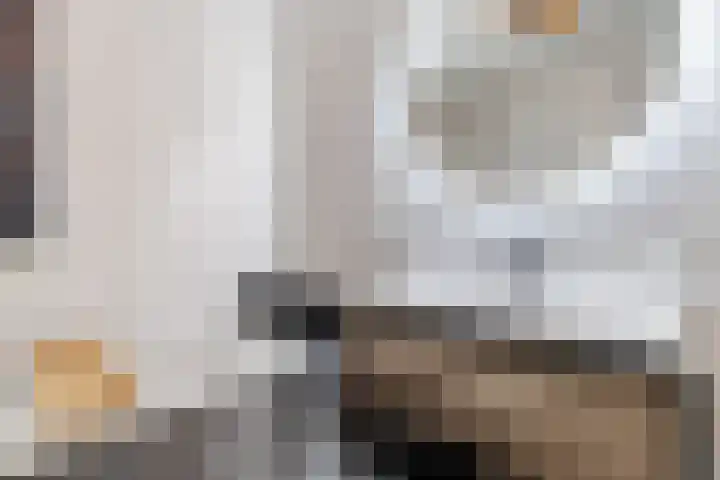 Nedinscoplein 27 Venlo thumbnail 31