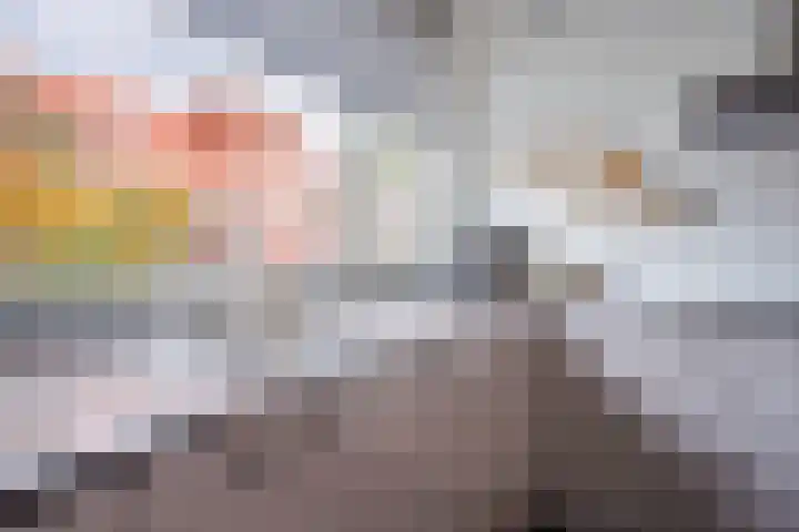 Needestraat 18 Eindhoven thumbnail 19