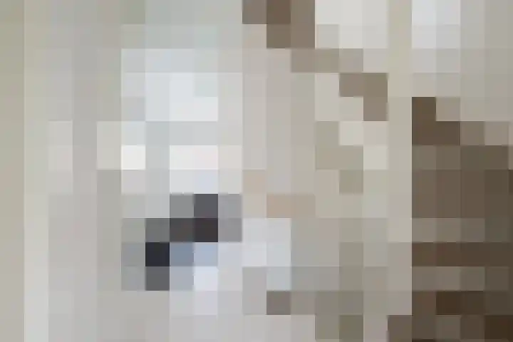 Needestraat 18 Eindhoven thumbnail 21