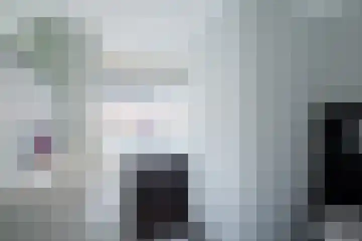 Needestraat 18 Eindhoven thumbnail 27
