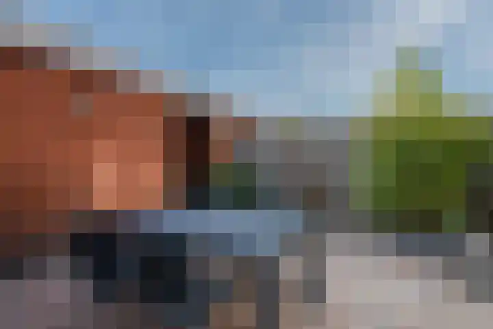 Needestraat 18 Eindhoven thumbnail 40
