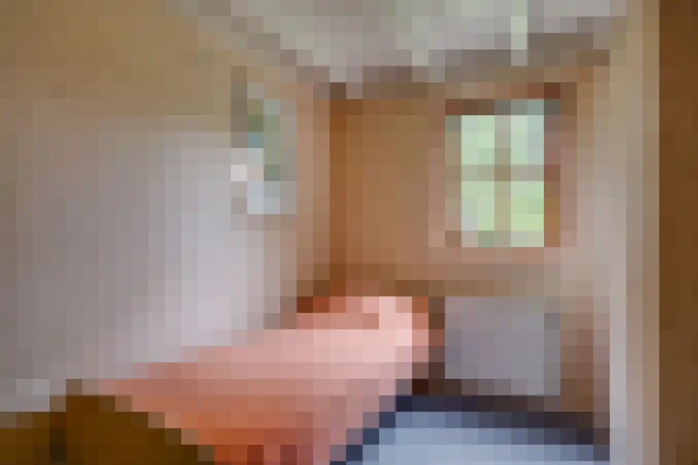 Needse Tolweg 25 Geesteren thumbnail 11