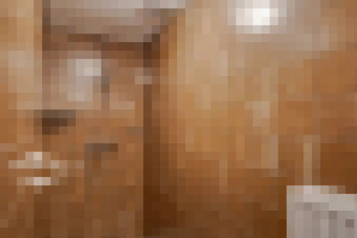 Needse Tolweg 25 Geesteren thumbnail 12