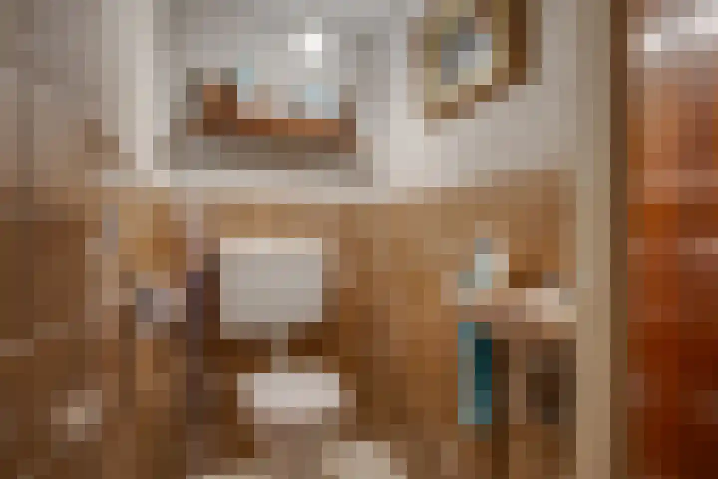 Needse Tolweg 25 Geesteren thumbnail 13