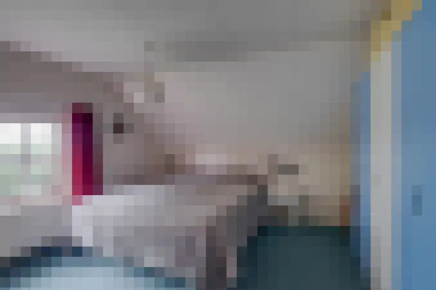 Needse Tolweg 25 Geesteren thumbnail 15