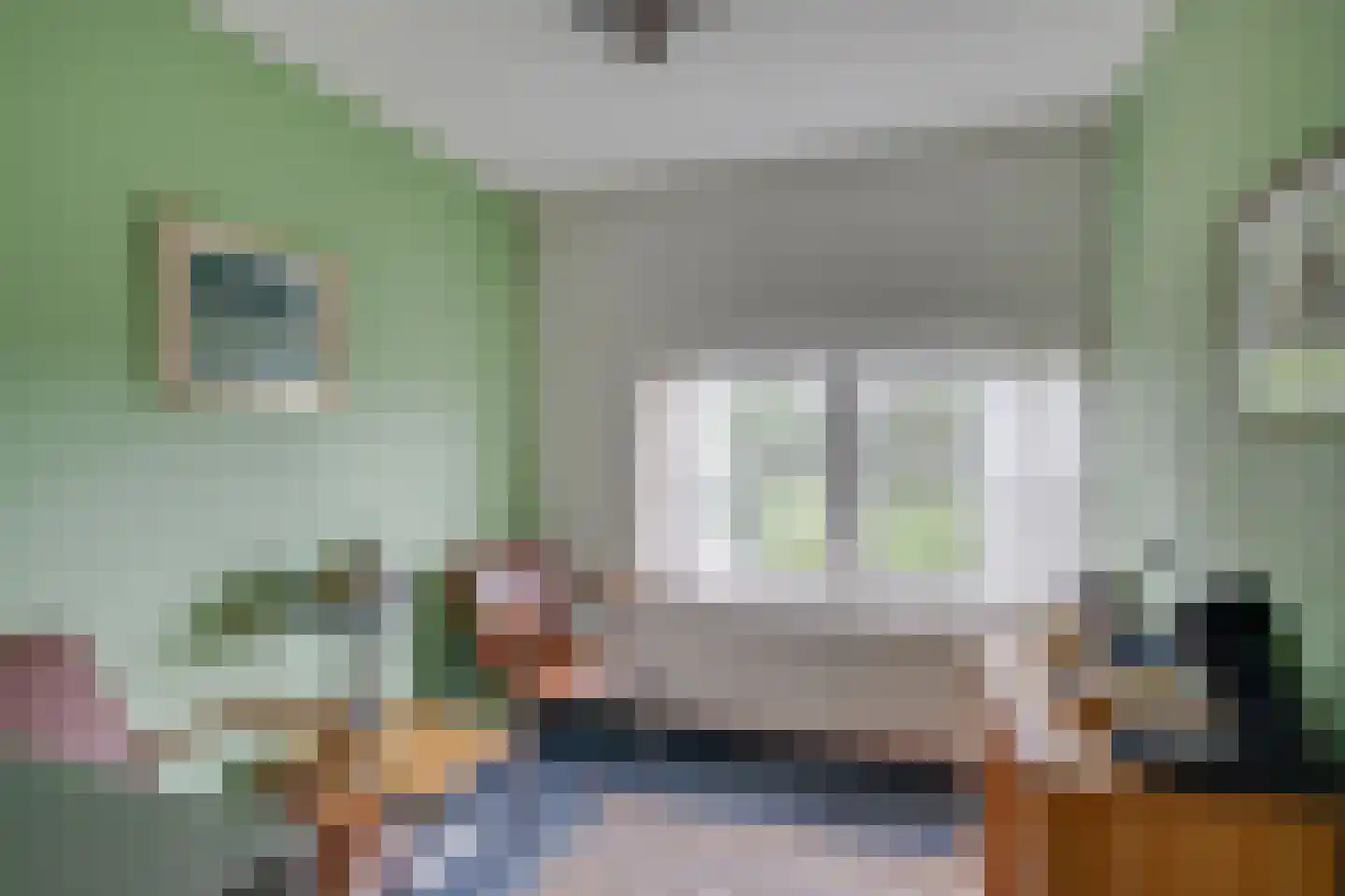 Needse Tolweg 25 Geesteren thumbnail 17