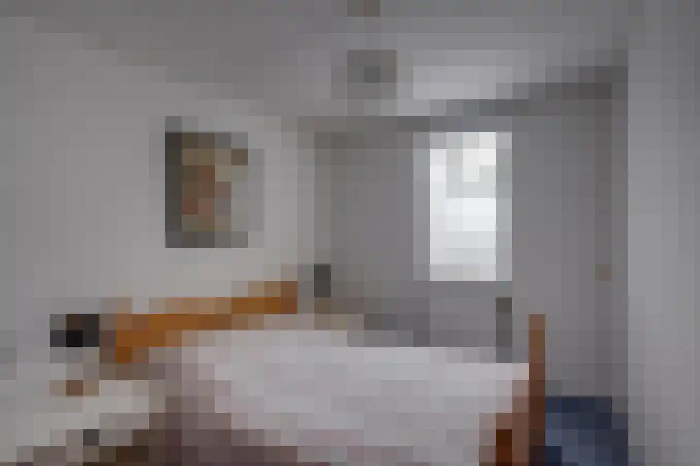 Needse Tolweg 25 Geesteren thumbnail 18