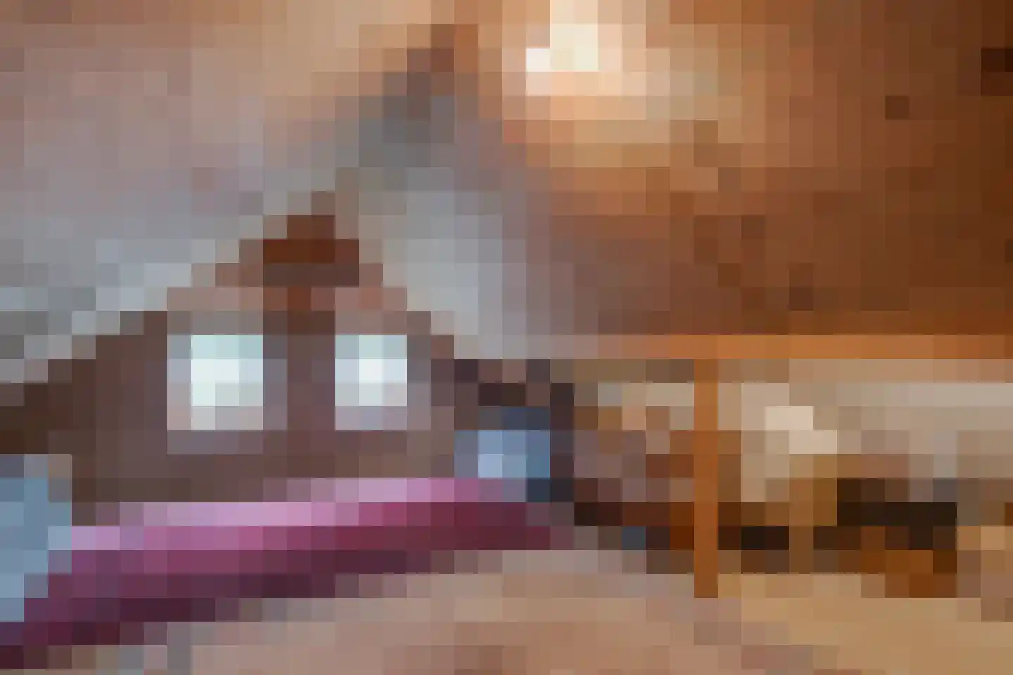 Needse Tolweg 25 Geesteren thumbnail 20