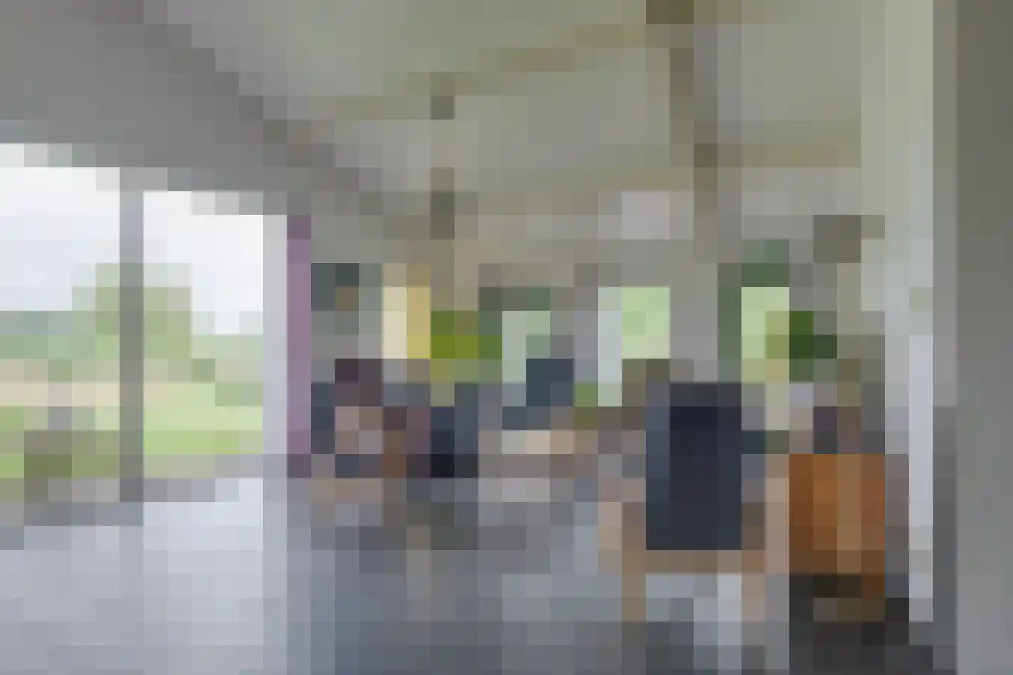 Needse Tolweg 25 Geesteren thumbnail 23