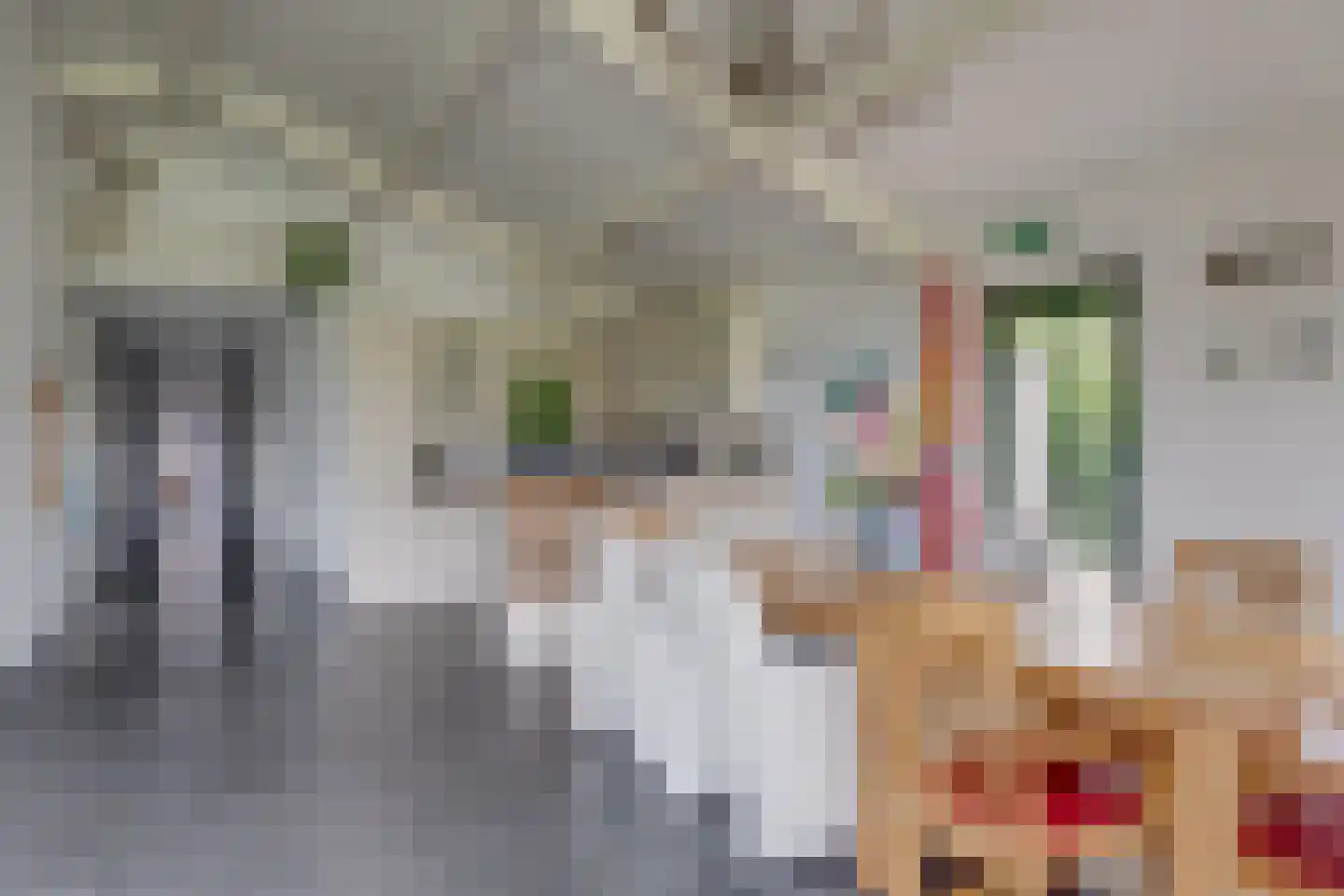 Needse Tolweg 25 Geesteren thumbnail 24