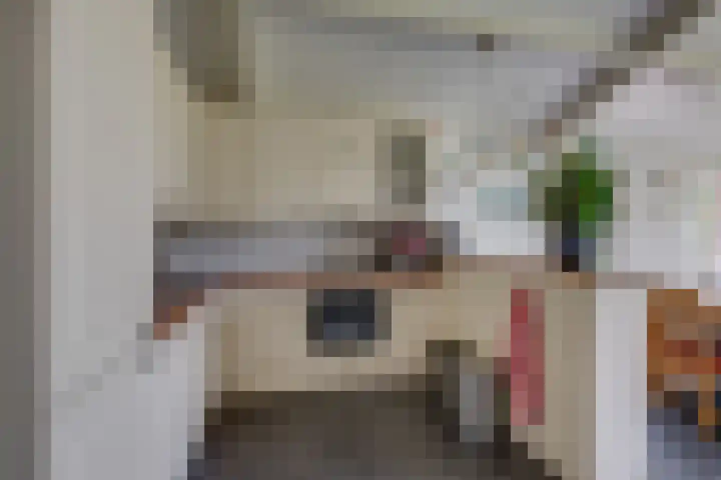 Needse Tolweg 25 Geesteren thumbnail 26