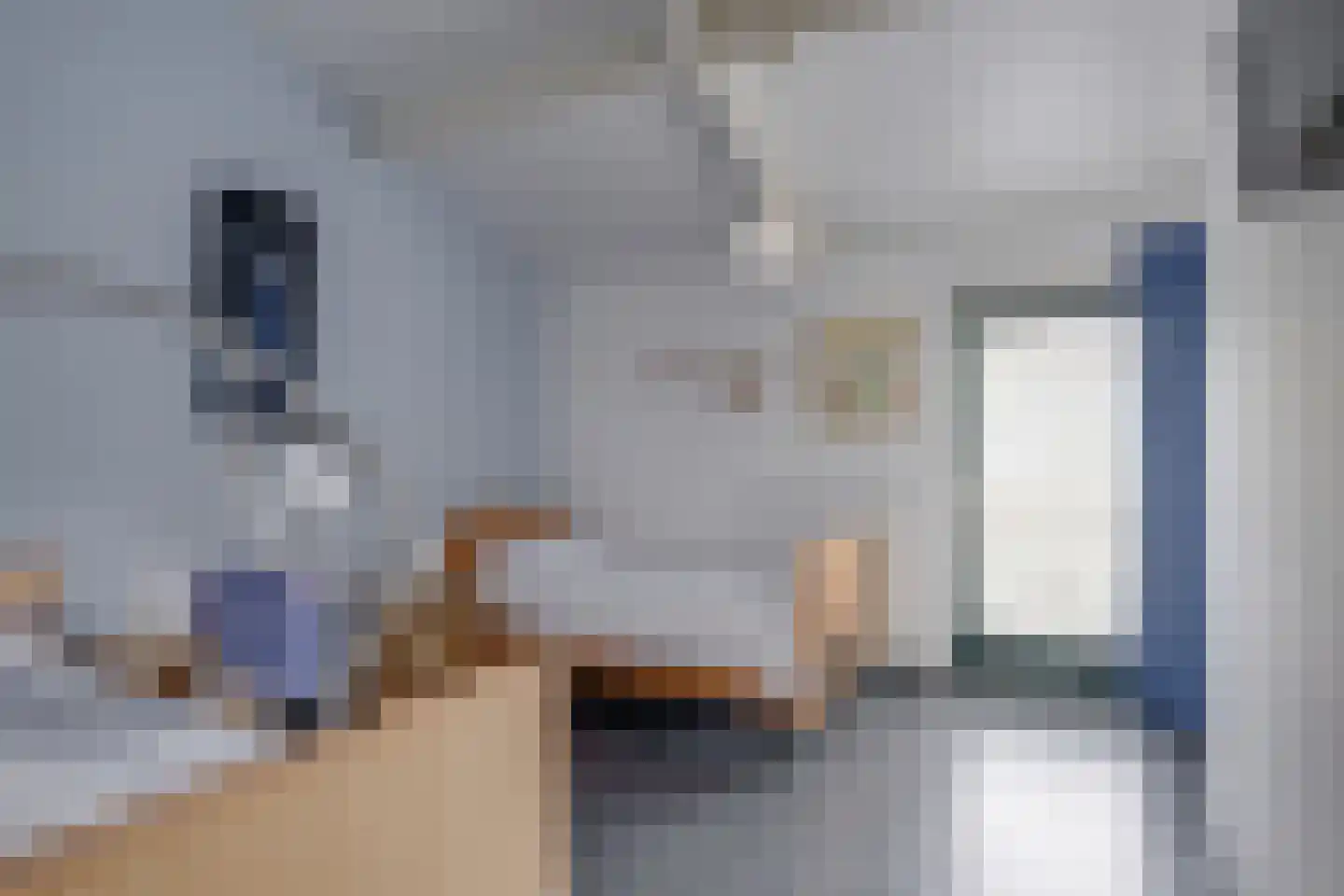 Needse Tolweg 25 Geesteren thumbnail 27