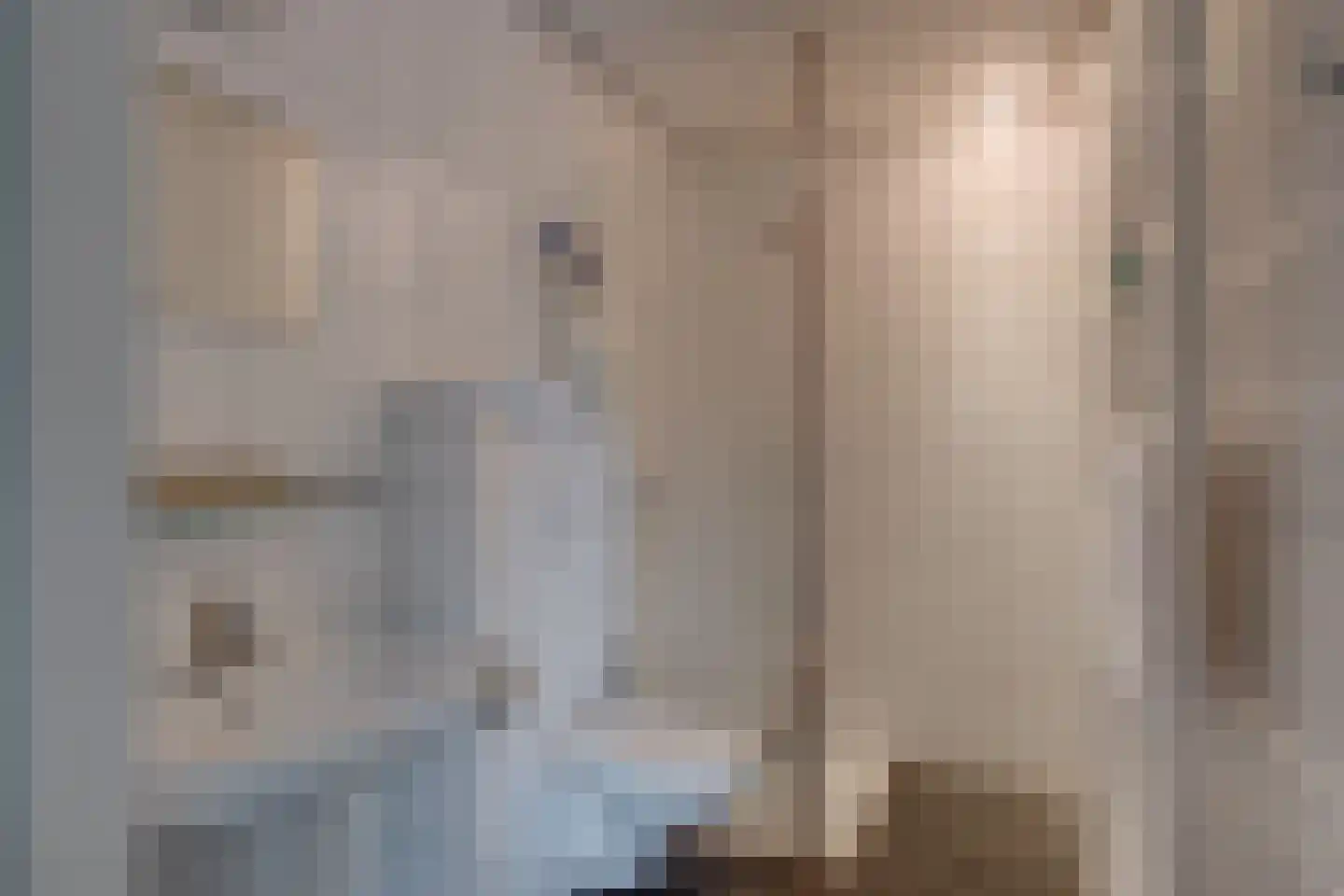 Needse Tolweg 25 Geesteren thumbnail 28