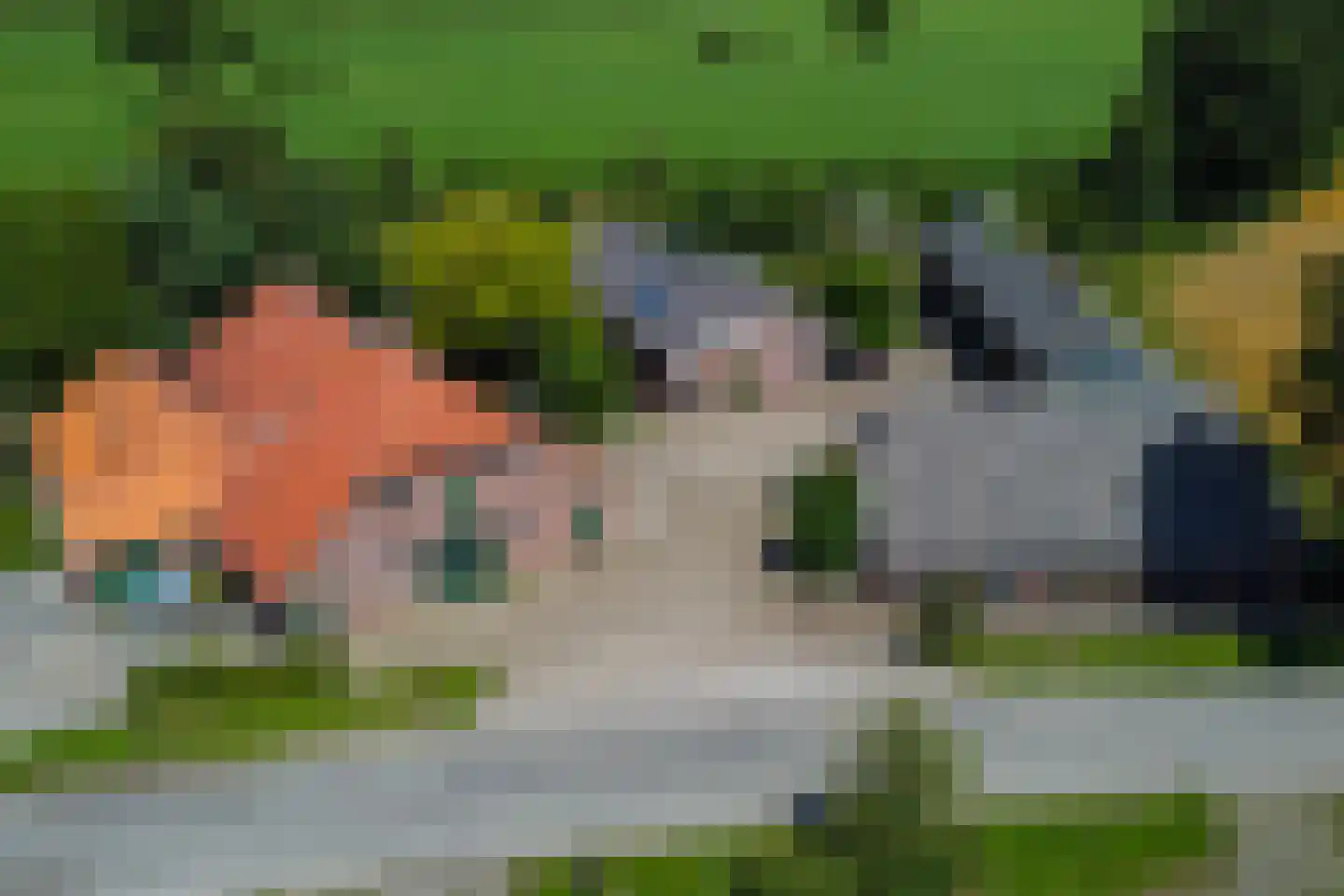 Needse Tolweg 25 Geesteren thumbnail 30